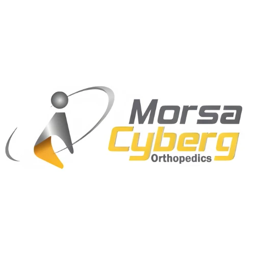 Morsa Cyberg